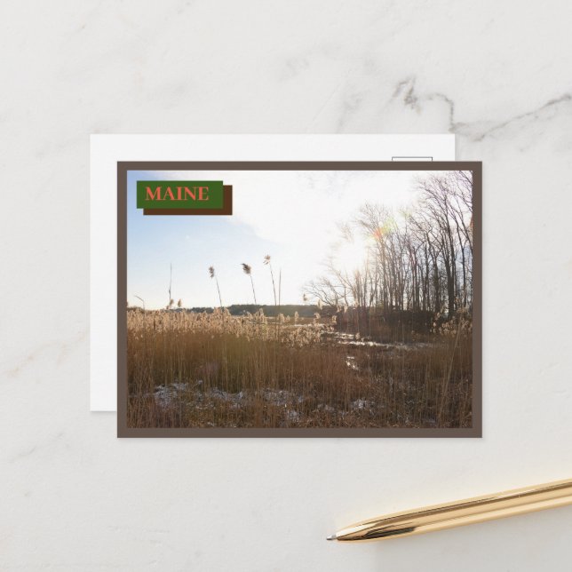 Carte Postale Brown Kittery Seapoint Beach Maine Nature (Devant/Arrière en situation)
