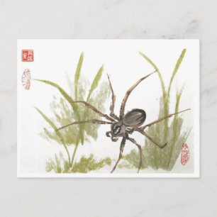 Carte Postale Brown Recluse Spider sur blanc