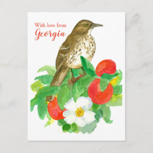 Carte Postale Brown Thrasher Avec Amour De Géorgie