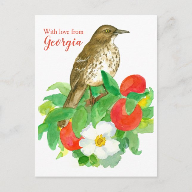 Carte Postale Brown Thrasher Avec Amour De Géorgie (Devant)