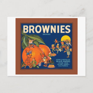 Carte Postale Brownies Marque Vintage Fruit Crate Étiquette