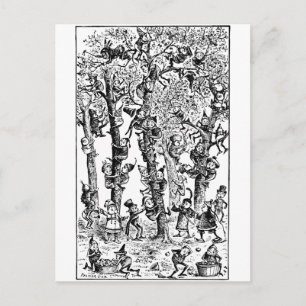 Carte Postale Brownies ramassant des pommes dans un verger