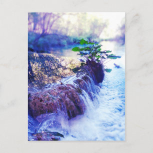 Carte Postale brume d'eau