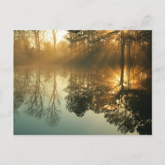 Carte Postale Brume du matin (Devant)