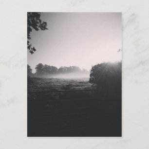 Carte Postale Brume matinale et soleil bas sur le terrain quand