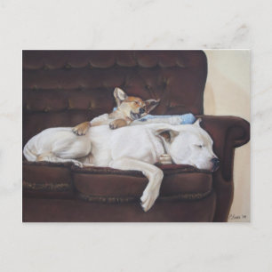Carte Postale brun chiot blanc américain taureau réaliste art