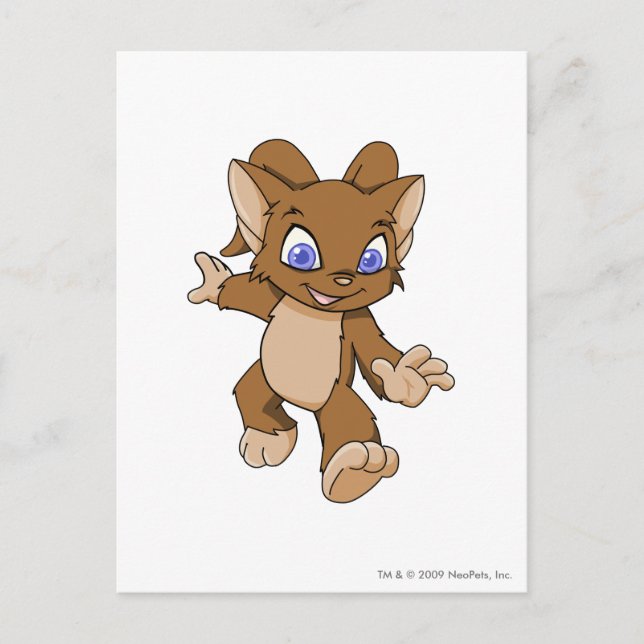 Carte Postale Brun d'Acara (Devant)