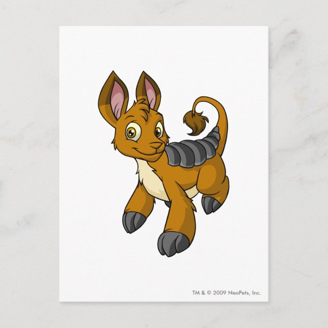 Carte Postale Brun de Bori (Devant)