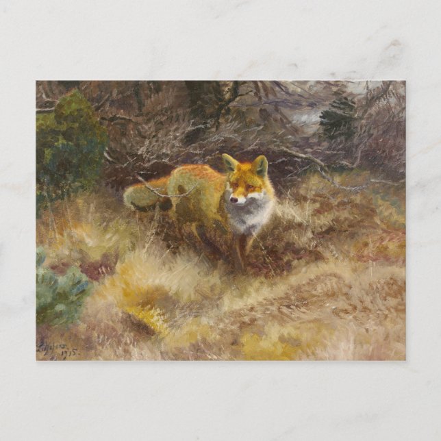 Carte Postale Bruno Liljefors - Renard et Paysage (Devant)