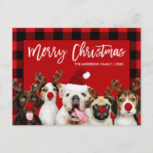 Carte Postale Brush Script Joyeux Chiens de Noël Rouge Plaid