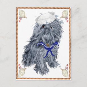 Carte Postale Brussels Griffon Sailor