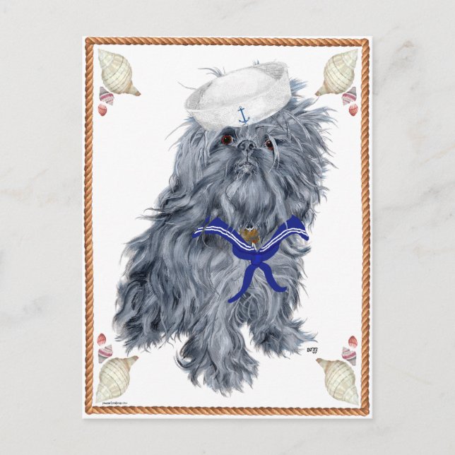 Carte Postale Brussels Griffon Sailor (Devant)