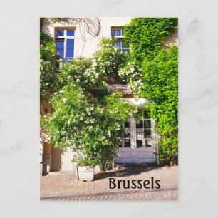 Carte Postale Bruxelles Belgique