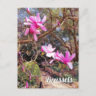 Carte Postale Bruxelles Belgique