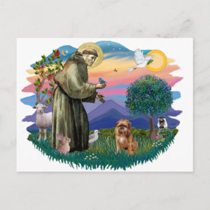 Carte Postale Bruxelles Griffon (brun/rouge)