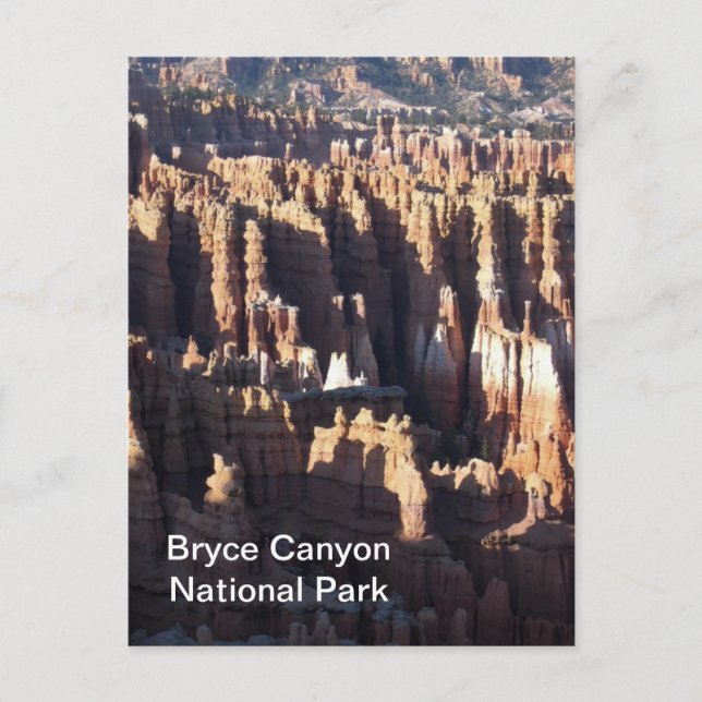 Carte Postale Bryce Canyon (Devant)