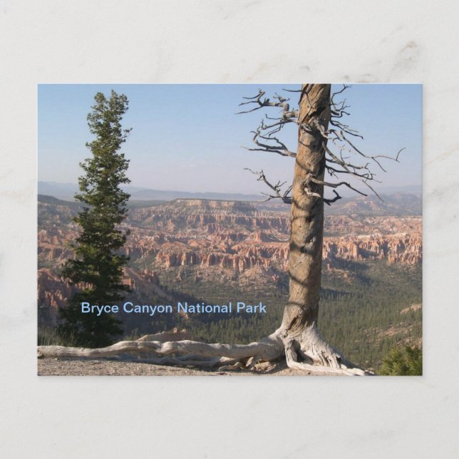 Carte Postale Bryce Canyon (Devant)
