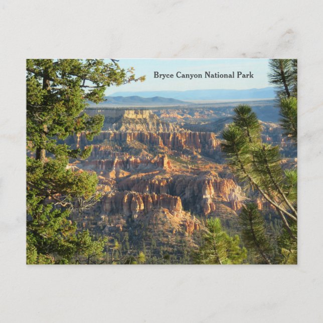 Carte Postale Bryce Canyon National Park, Utah Postcard (Devant)