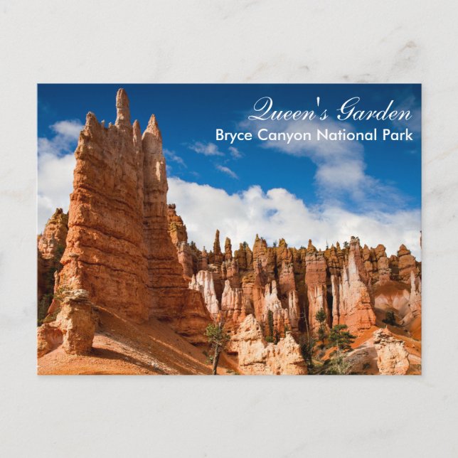 Carte Postale Bryce Canyon NP - Queens Garden (Devant)