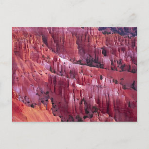 Carte Postale Bryce Canyon, Utah, États-Unis