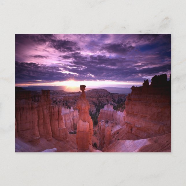 Carte Postale Bryce Canyon Utah National Park Thors Hammer Plaqu (Devant)