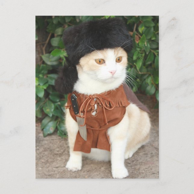 Carte Postale Bubba Bowie (Devant)