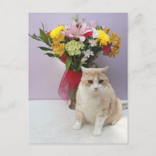 Carte Postale Bubba par Fleurs