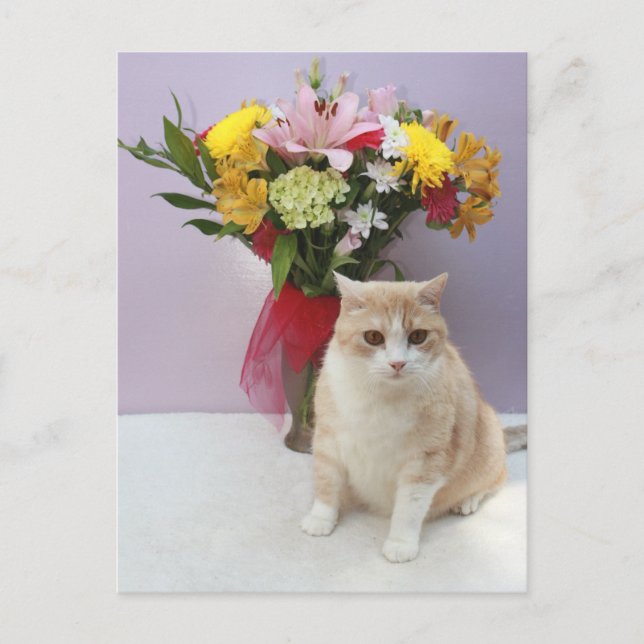 Carte Postale Bubba par Fleurs (Devant)