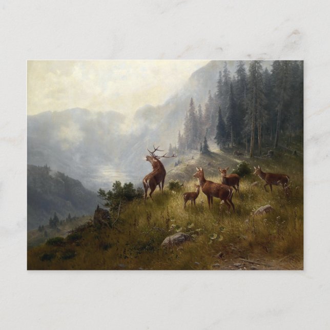 Carte Postale Buck & Doe Deer Herd Dans Le Paysage Forestier Art (Devant)