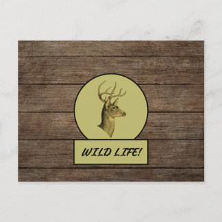 Carte postale Buck Head Dark Wood