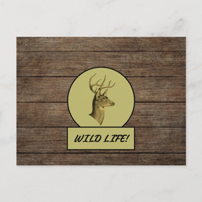 Carte postale Buck Head Dark Wood (Devant)