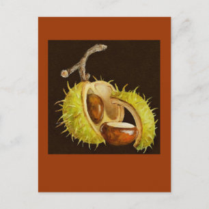 carte postale buckeye