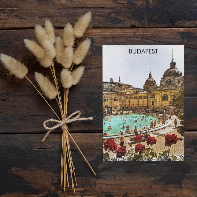 Carte Postale Budapest Hongrie Széchenyi Thermes (budapest hungary thermal bath)