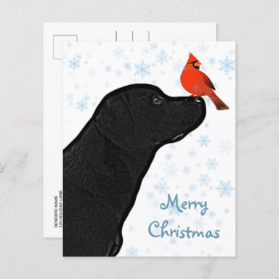 Carte postale Budget Black Labrador Cardinal Chris