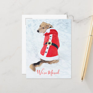 Carte Postale Budget Déplacer Chien De Noël En Mignonne Costume 