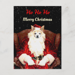Carte Postale Budget Père Noël Chihuahua Chien Rouge Drôle Migno