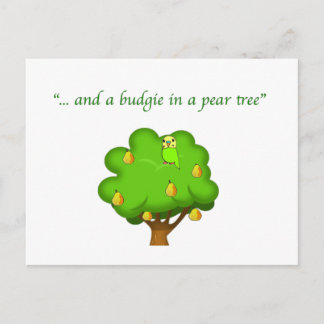 Carte Postale Budgie dans un arbre à poires