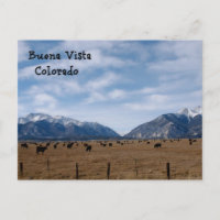Buena Vista, CO