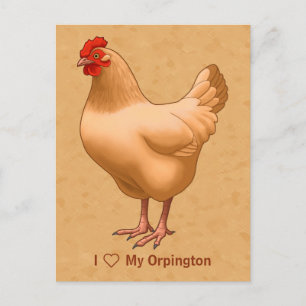 Carte Postale Buff Orpington Poulet Hen