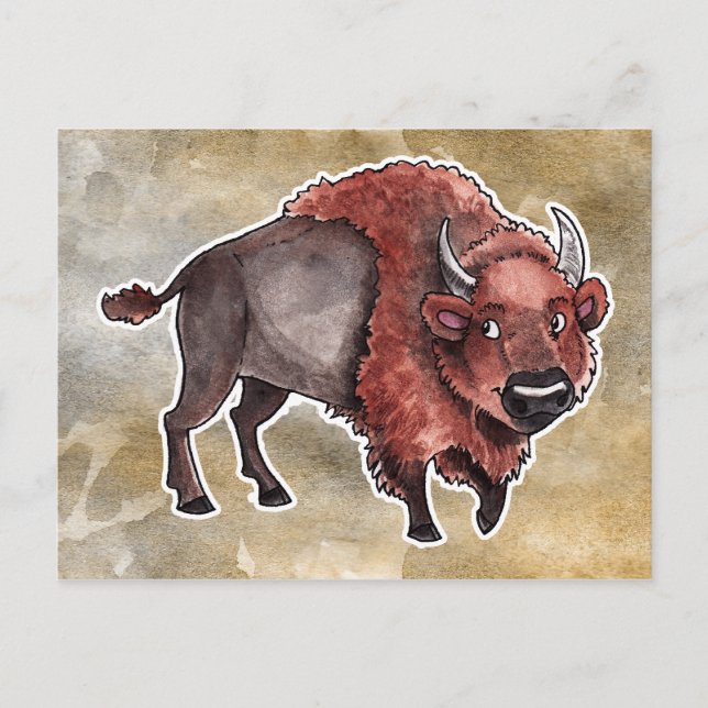 Carte Postale Buffalo (Devant)