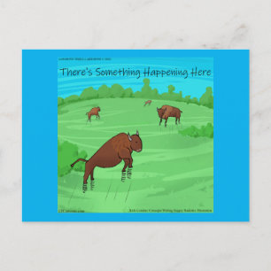 Carte Postale Buffalo Springfield Funny Rick London