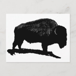 Carte Postale Buffle noir et blanc