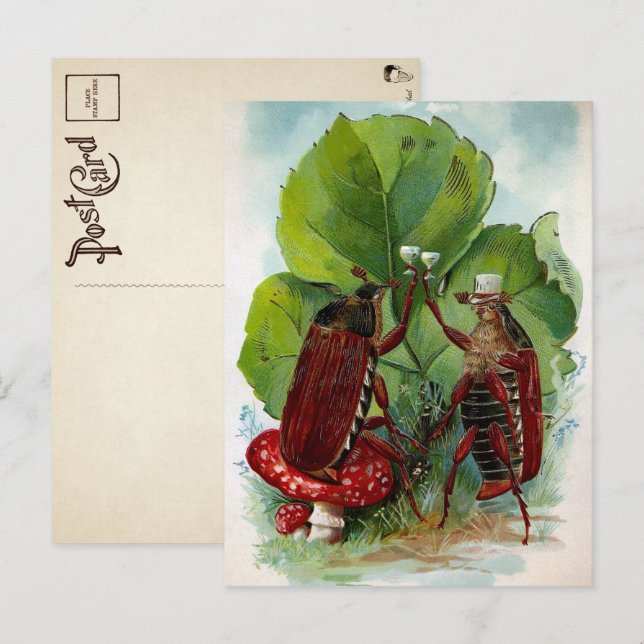 Carte postale Bugs vintages Victoriens (Devant / Derrière)