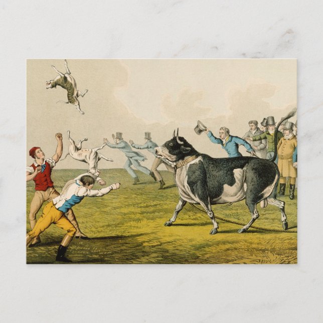 Carte Postale "Bull Baiting", pub. de Thomas McLean, 1820, (prin (Devant)