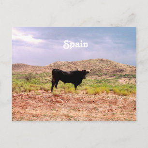 Carte Postale Bull en Espagne