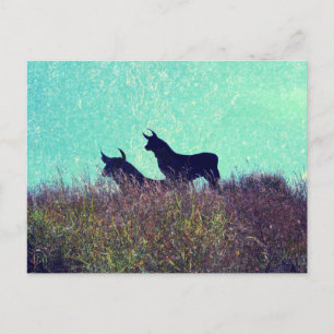 Carte Postale Bull Mountain