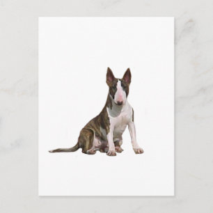 Carte Postale Bull Terrier (B) - Bringé et blanc