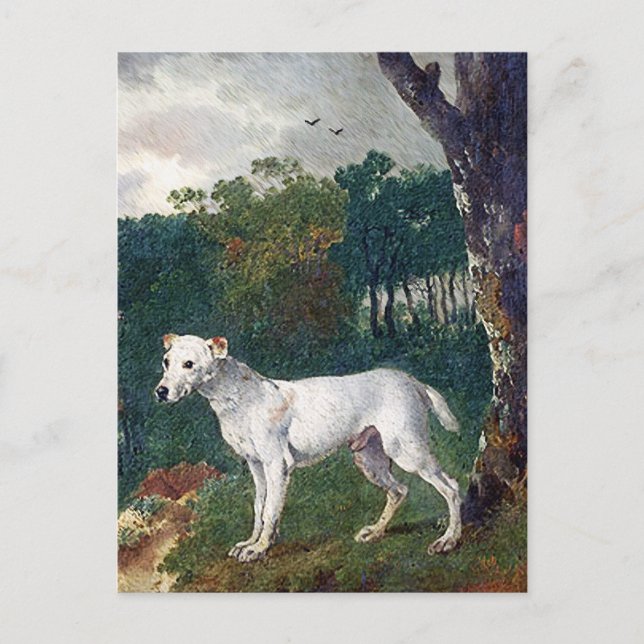 Carte Postale Bull Terrier Painting (Devant)
