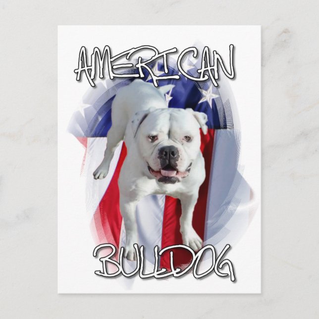 Carte Postale Bulldog américain (Devant)