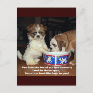 Carte Postale Bulldog anglais et Shih Tzu Puppy